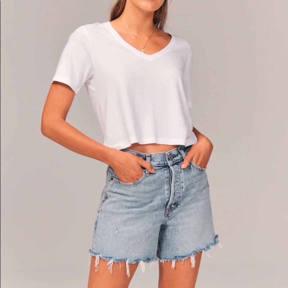 Abercrombie & Fitch Curve Love High Rise Dad Shorts